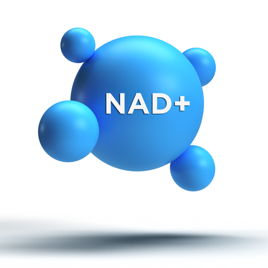 Why is Everyone Talking about NAD+?