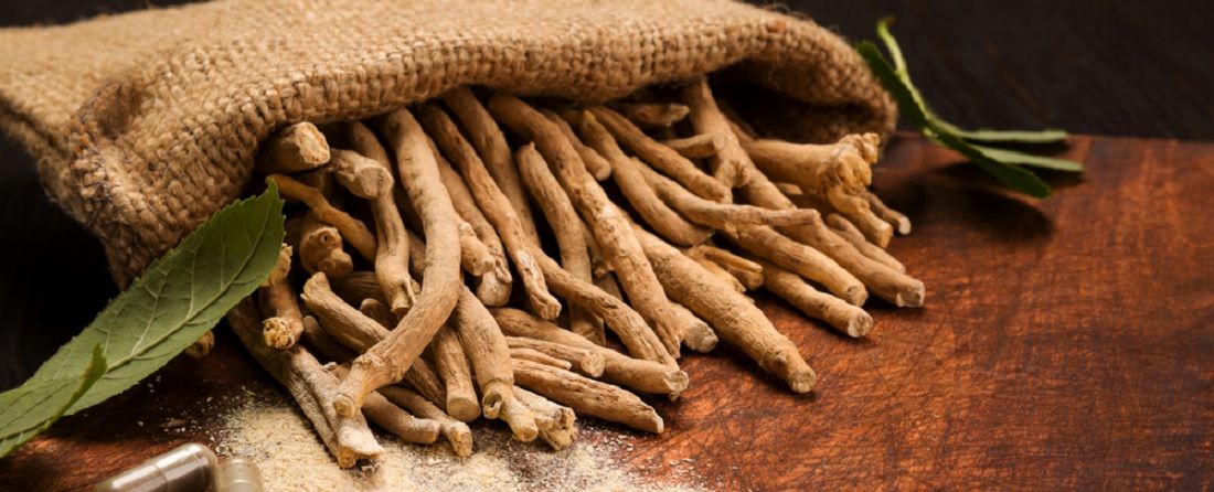 KSM-66® Ashwagandha vs Other Ashwagandha Extracts: Why Root-Only Matters
