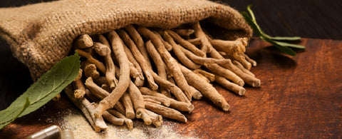 KSM-66® Ashwagandha vs Other Ashwagandha Extracts: Why Root-Only Matters