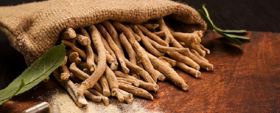 KSM-66® Ashwagandha vs Other Ashwagandha Extracts: Why Root-Only Matters