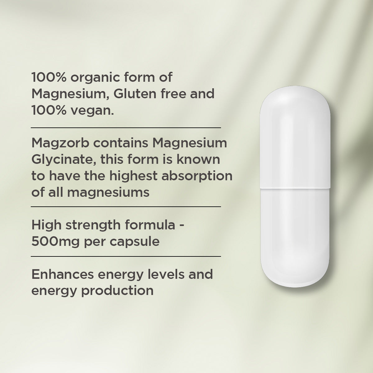 Magzorb Ingredient Features